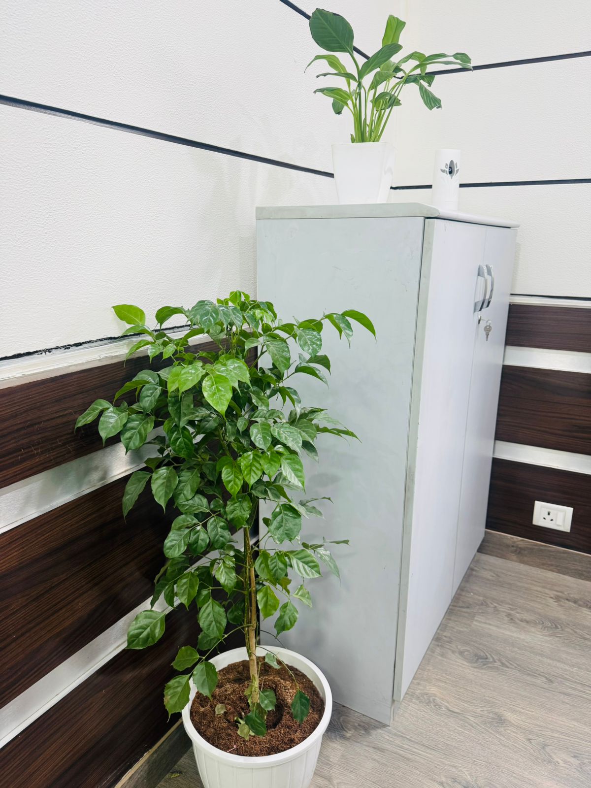 Office Image 1